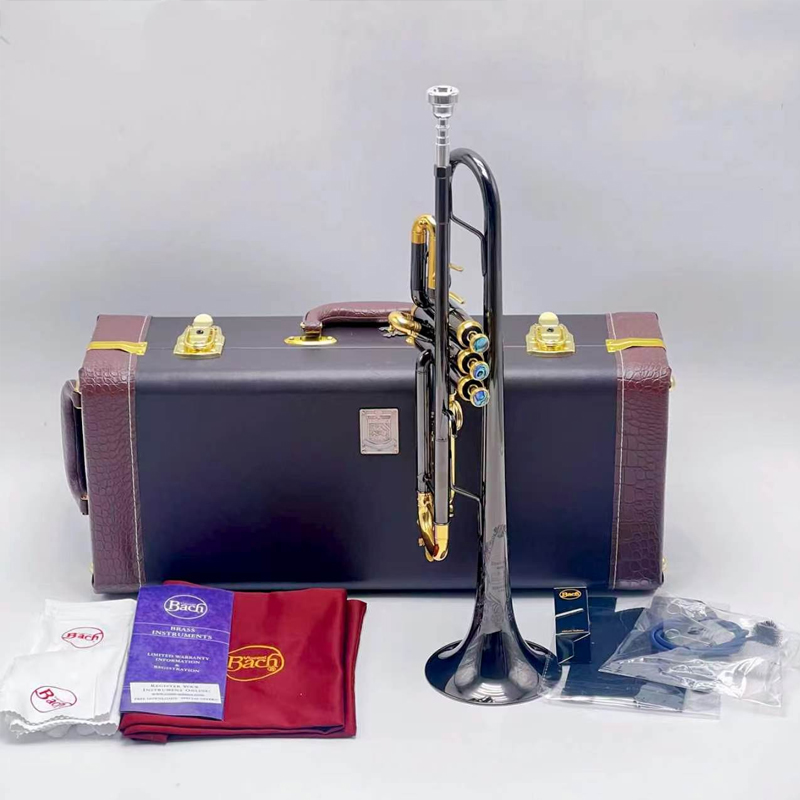 ทรัมเป็ต Stradivarius รุ่นฉลอง - Musical Instrument Bugle บทวิจารณ์และราคา